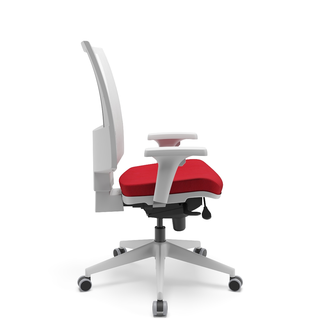 Flash Presidente-2.jpg